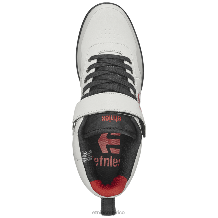 etnies culvert gris medio/negro/rojo LP80X385 Etnies gris/negro/rojo