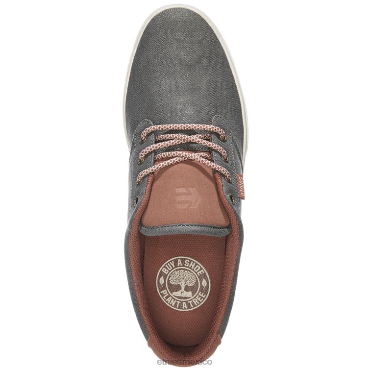 etnies jameson 2 eco ladrillo jaspeado LP80X402 Etnies brezo de ladrillo