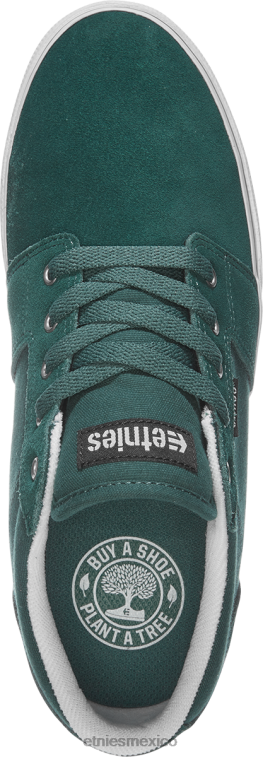 barcaza ls etnies verde/blanco LP80X541 Etnies verde/blanco/negro