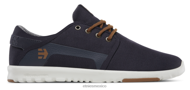 scout etnies azul marino-oro LP80X33 Etnies azul marino-dorado